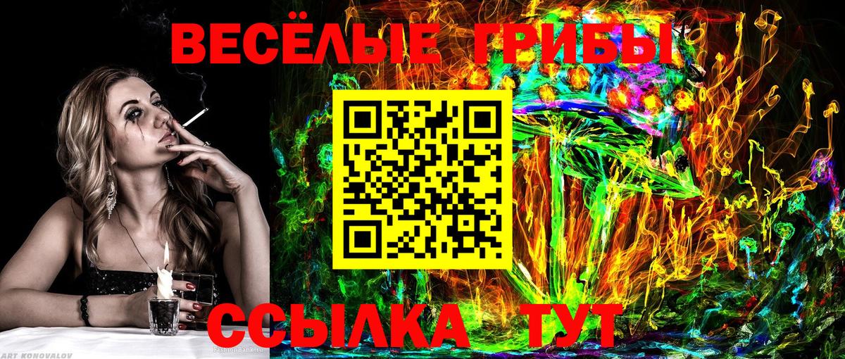 купить  сайты  Галлюциногенные грибы Psilocybine cubensis  Вход с VPN  Заволжье 